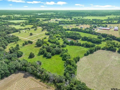 10.27 acres of AG exempt land in Fruitvale Texas that is - photo 5