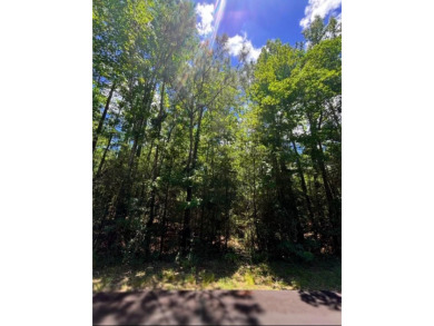 Lake Lot For Sale in Brookeland, Texas