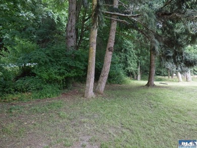 Tucked among mature trees and lovingly maintained, this inviting - photo 18