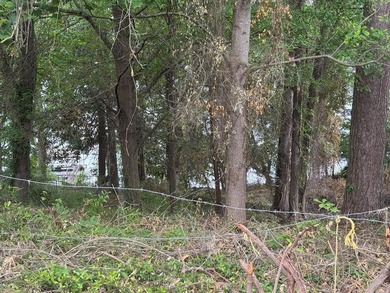 Waterfront living at its best! 155 Scenic Drive, Eufaula, AL- - photo 21