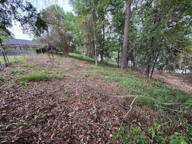 Waterfront living at its best! 155 Scenic Drive, Eufaula, AL- - photo 22