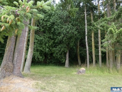 Tucked among mature trees and lovingly maintained, this inviting - photo 25