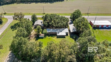 Welcome to your own slice of freedom in Robertsdale- now offered - photo 27