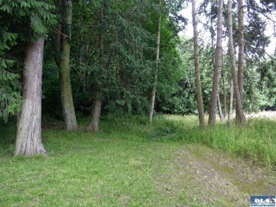 Tucked among mature trees and lovingly maintained, this inviting - photo 27