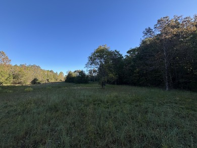 (private lake, pond, creek) Acreage For Sale in Viola Arkansas