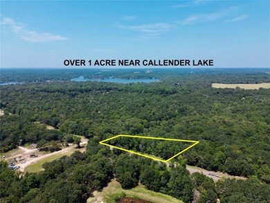 Lake Lot For Sale in Murchison, Texas