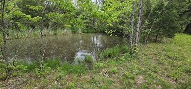 New to the market is this 12.38 tract in Washington county with - photo 4