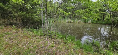 New to the market is this 12.38 tract in Washington county with - photo 5