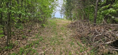 New to the market is this 12.38 tract in Washington county with - photo 6