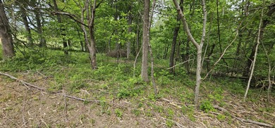 New to the market is this 12.38 tract in Washington county with - photo 7