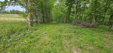 New to the market is this 12.38 tract in Washington county with - photo 8