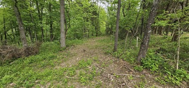 New to the market is this 12.38 tract in Washington county with - photo 9