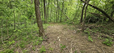 New to the market is this 12.38 tract in Washington county with - photo 10