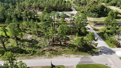 Lehigh Acres Area Lot For Sale in Lehigh Acres Florida