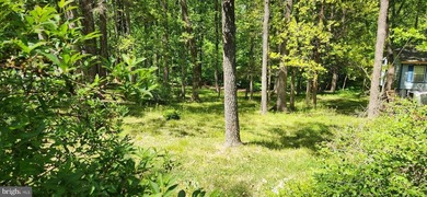 Come Live at Blue Ridge Shores... a treasure of a community, a - photo 1
