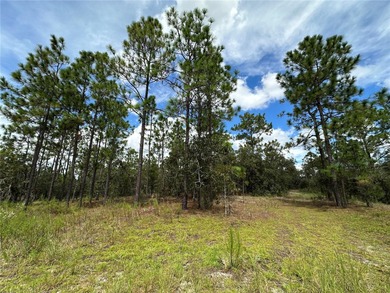 Bonable Lake Lot For Sale in Dunnellon Florida