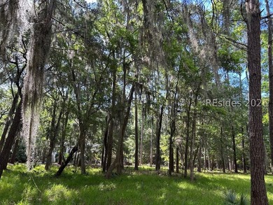 Highlighted by large Oaks and overlooking Lake Best in Melrose - photo 2
