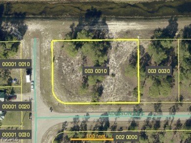 Lehigh Acres Area Lot For Sale in Lehigh Acres Florida