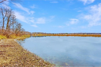 Lake Ida Home For Sale in Alexandria Minnesota