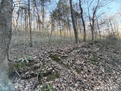 (private lake, pond, creek) Lot For Sale in Strawberry Plains Tennessee