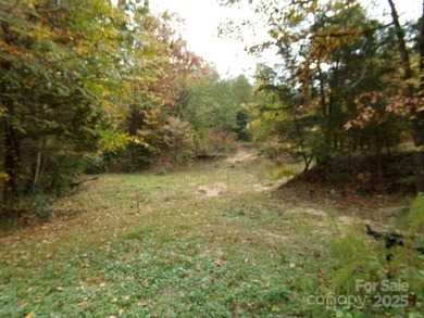 Back on market with an extra Manufacture Home and 1/2 acre - photo 11