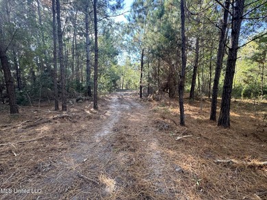 Nature abounds throughout 16.1 gorgeous acres full of oaks and - photo 11