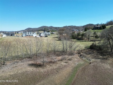 Presenting a rare opportunity to own a premier lakefront - photo 13