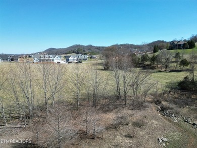 Presenting a rare opportunity to own a premier lakefront - photo 14