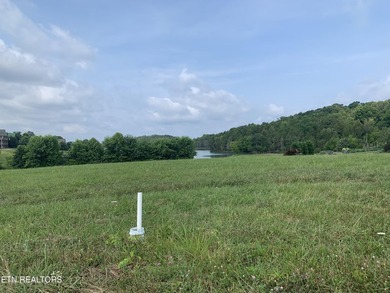 Presenting a rare opportunity to own a premier lakefront - photo 15