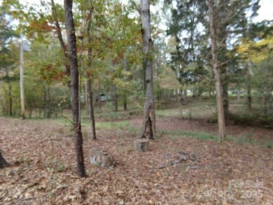 Back on market with an extra Manufacture Home and 1/2 acre - photo 17