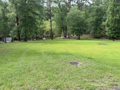 Lake Lot For Sale in Ridgeway, South Carolina