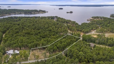 Lake Sam Rayburn  Lot For Sale in Brookeland Texas