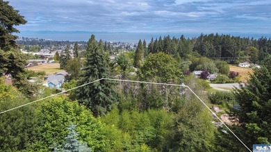 Opportunity awaits on 2.15 acres within the city limits! - photo 28