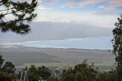 This 10 acre Piiholo property at 4,000' elevation borders a - photo 3