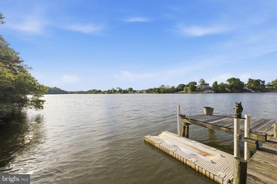 Discover lakefront living at its finest on beautiful Lake Anna! - photo 10