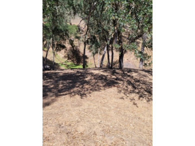 LUCKY 7 - Lake Lot For Sale in Lake Nacimiento, California