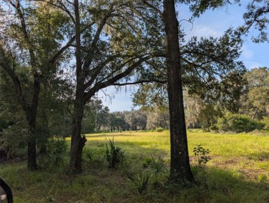 Lake Acreage For Sale in Fort Mccoy, Florida