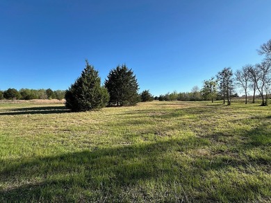 On the road to Round Top! 9 acres with excellent road frontage - photo 11