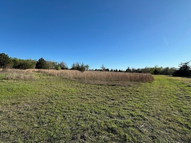 On the road to Round Top! 9 acres with excellent road frontage - photo 13