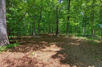 Tucked away on 2.5 beautiful usable acres, 421 Lusk Court offers - photo 42