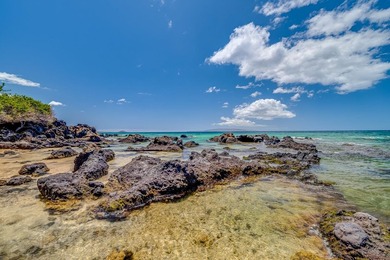 Punahoa #101 | Oceanfront Studio | South Kihei. Nearly fifty - photo 7