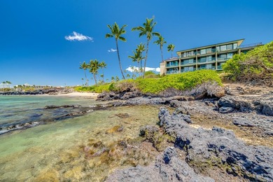 Punahoa #101 | Oceanfront Studio | South Kihei. Nearly fifty - photo 8