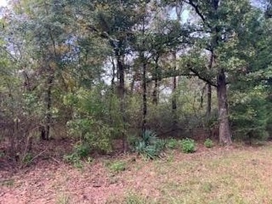 (private lake, pond, creek) Lot For Sale in Log Cabin Texas