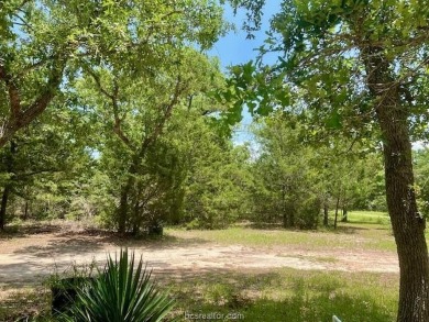 Somerville Lake Home For Sale in Somerville Texas