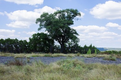 Offering a level, build-ready homesite, this property showcases - photo 10