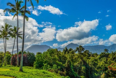 This lovely Ali'i Kai II has nice ocean views from the 2nd floor - photo 14