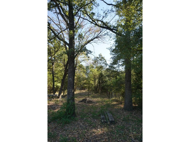 Lake Lot For Sale in Log Cabin, Texas