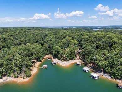 There is no other property on Lake Lanier like this one, not one - photo 6