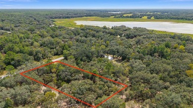 Bonable Lake Lot For Sale in Dunnellon Florida