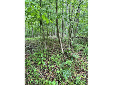 Kentucky River Acreage For Sale in Irvine Kentucky